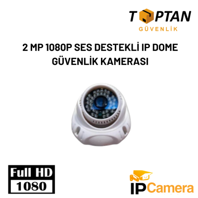 2 MP 1080P SES DESTEKLİ IP DOME GÜVENLİK KAMERASI ARNA-1620