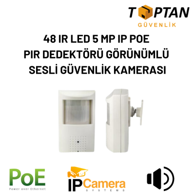 48 IR LED 5 MP IP POE PIR DEDEKTÖRÜ GÖRÜNÜMLÜ SESLİ GÜVENLİK KAMERASI- ARNA 821