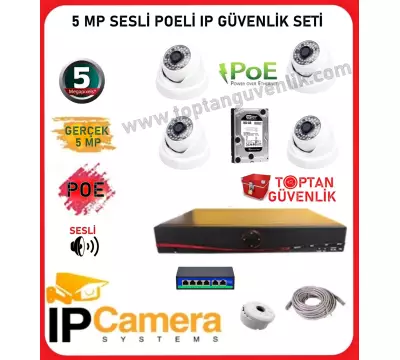 5 MP POELİ SESLİ 4 İÇ MEKAN KAMERALI IP 500 GB HDD DAHİL GÜVENLİK KAMERASI SETİ ARNA-8554