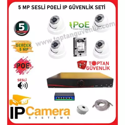 5 MP POELİ SESLİ 4 İÇ MEKAN KAMERALI IP 500 GB HDD DAHİL GÜVENLİK KAMERASI SETİ ARNA-8554